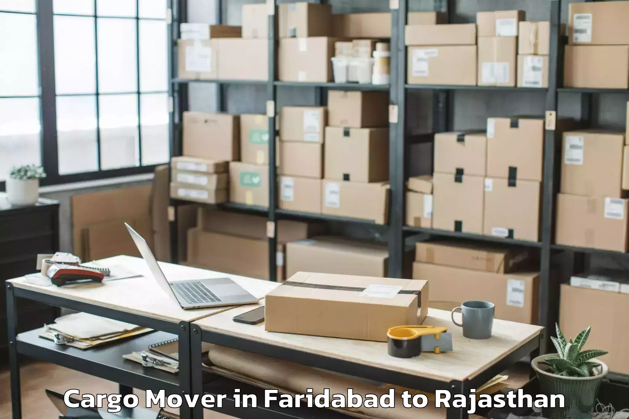 Leading Faridabad to Bagru Cargo Mover Provider